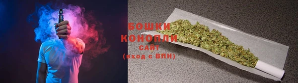 дурь Бронницы