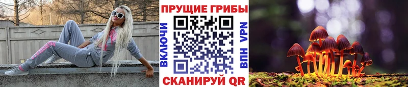 KRAKEN ТОР  Волжск  Псилоцибиновые грибы Psilocybe 